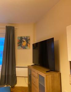 A television and/or entertainment centre at Margaret Apartment by the Danube