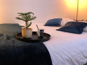 - un plateau avec une plante et une tasse sur un lit dans l'établissement Studio proche centre-ville 2, à Reims