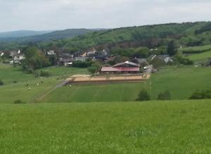 un campo de hierba verde con una granja a lo lejos en "Die Jockeysuite" auf unserem Reiterhof, en Birkenbeul