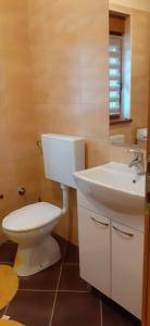 ein Badezimmer mit einem weißen WC und einem Waschbecken in der Unterkunft Apartman Vigo,Fužine in Fužine