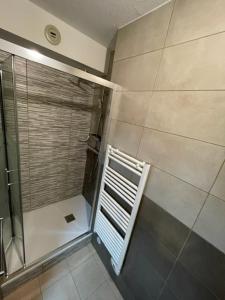 a shower with a glass door in a bathroom at Appartements Confort Saint François Longchamp in Saint-François-Longchamp