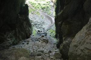 Fotografie z fotogalerie ubytování Pension Nicoleta v destinaci Costeşti
