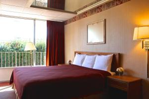 a hotel room with a bed and a large window at Regency Inn Richmond in Richmond