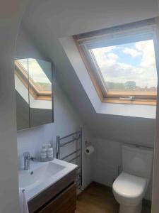 a bathroom with a toilet and a sink with a skylight at Holly Tree Cottage in Barmby on the Moor