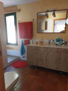 een badkamer met een wastafel, een spiegel en een toilet bij Villa Ana en Camallera (Alt Empordà) in Camallera
