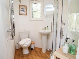 La salle de bains est pourvue de toilettes, d'un lavabo et d'une douche. dans l'établissement Honeycombe, à Blandford Forum