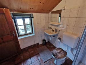 Koupelna v ubytování Idyllisches und alleinstehendes Maiensäss in Val Poschiavo
