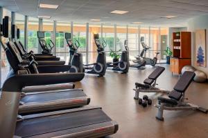 a gym with rows of treadmills and exercise bikes at Chicago Marriott Southwest at Burr Ridge in Burr Ridge