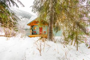 Snowbird Chalet #5 v zimě