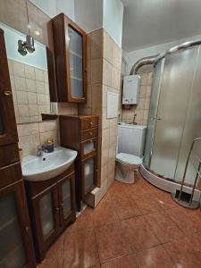 een badkamer met een wastafel, een douche en een toilet bij Przytulne mieszkanie/Cosy flat Chorzów in Chorzów