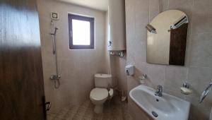 a bathroom with a toilet and a sink and a mirror at Банско Апартментс in Bansko +23 photos