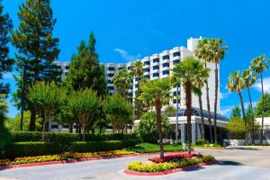 a building with palm trees and flowers in a park at Sacramento Marriott Rancho Cordova in Rancho Cordova