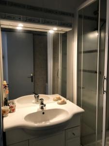 a bathroom with a sink and a glass shower at Neptuna- 52B- Appart spacieux- 7 pers in Cap d'Agde