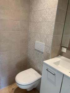 La salle de bains est pourvue de toilettes et d'un lavabo. dans l'établissement Le JOËL appartement F1 de 21 m², à Choisey