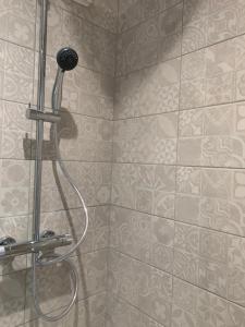 a shower with a shower head in a bathroom at Le JOËL appartement F1 de 21 m² in Choisey