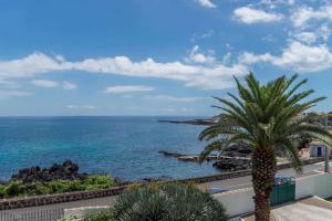 a palm tree in front of the ocean at Porto Martins Bay Apartments AL in Porto Martins