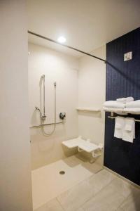 een badkamer met een douche en een toilet bij Fairfield Inn & Suites by Marriott Philadelphia Broomall/Newtown Square in Broomall