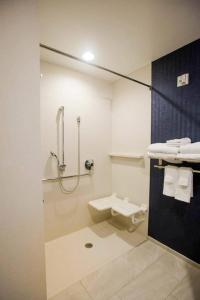 a bathroom with a shower and a toilet at Fairfield Inn & Suites by Marriott Philadelphia Broomall/Newtown Square in Broomall