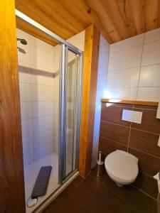 Vannituba majutusasutuses Appartements Luttinger
