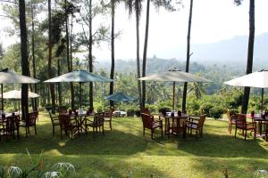 Gallery image of Manohara Resort in Borobudur