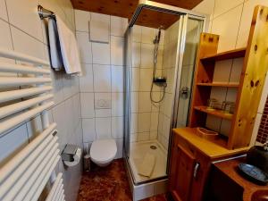 Vannituba majutusasutuses Appartements Luttinger