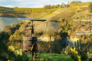 Φωτογραφία από το άλμπουμ του Cadgal - Tenuta Valdivilla σε Santo Stefano Belbo