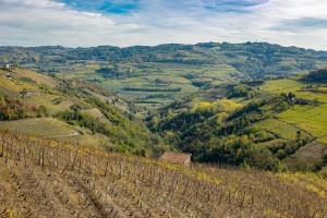 Φωτογραφία από το άλμπουμ του Cadgal - Tenuta Valdivilla σε Santo Stefano Belbo