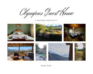 Fotografie z fotogalerie ubytování Olympus Guest Home v destinaci Káto Miléa