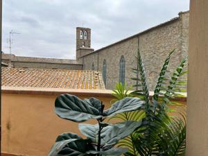 a plant in front of a building with a clock tower at Cortona's Rooftop Nest in Cortona