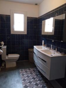 baño con lavabo y aseo y 2 ventanas en Les sittelles, en Gaillac