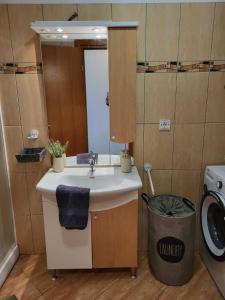La salle de bains est pourvue d'un lavabo, d'un miroir et d'une poubelle. dans l'établissement Apartma DOLORES, à Vodnjan