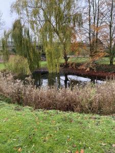 a bridge over a river in a park at Retreats at Stansted Manor in Hallingbury