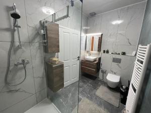 ein Bad mit einer Dusche, einem WC und einem Waschbecken in der Unterkunft Krügers Apartment in Barsinghausen