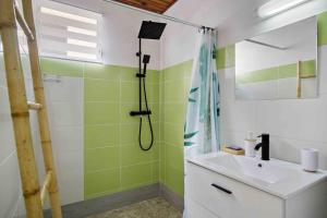 - une salle de bains verte et blanche pourvue d'une douche et d'un lavabo dans l'établissement Le Cataleya - Gîte "Terre et Truffes", au Lamentin