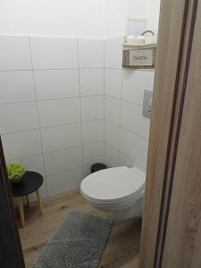 a bathroom with a white toilet in a room at Centrum Apartman Kőszeg in Kőszeg