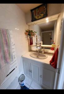 uma casa de banho com um lavatório e um espelho em Gîte Dubois em Romanswiller
