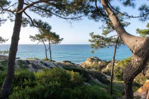a view of the ocean through pine trees at W Residences Algarve in Albufeira