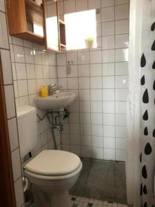 a bathroom with a toilet and a sink at Romantisches Plätzchen in der Natur in Grindelwald