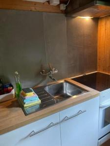 a kitchen with a sink and a counter top at Romantisches Plätzchen in der Natur in Grindelwald