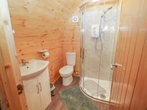 a bathroom with a shower and a toilet and a sink at Rowan in Ulverston