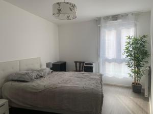 um quarto com uma cama e um vaso de plantas em Bel appartement de 65 m2 em Saint-Denis