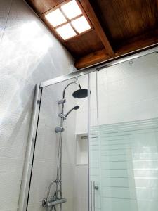 a shower with a glass door in a bathroom at Casa Mi Mona in Santa Cruz de la Palma