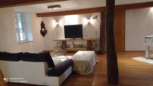 a living room with a couch and a tv at Maison de ferme au calme jusqu'à 10 personnes in Gannay-sur-Loire