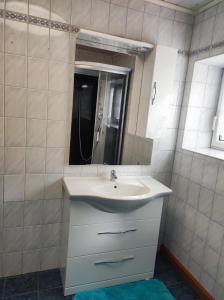 a bathroom with a sink and a mirror at Haus Alexander in Hart bei Graz