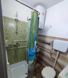 y baño con ducha, aseo y lavamanos. en Apartman Kristina Ribarska banja en Kruševac