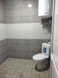 a bathroom with a toilet and a sink at Melen-guest house in Mestia +22 photos