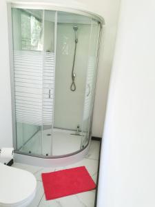 y baño con ducha y alfombra roja. en TAHITI - Orofero Lodge, en Paea
