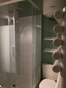 La salle de bains est pourvue de toilettes et d'une douche en verre. dans l'établissement Cozy'Nest, à Brest