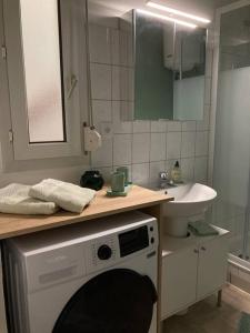 La salle de bains est pourvue d'un lavabo et d'un lave-linge. dans l'établissement Cozy'Nest, à Brest