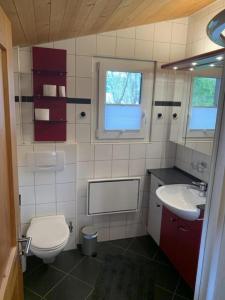 Baño pequeño con aseo y lavamanos en Chalet Bambi, en Sörenberg